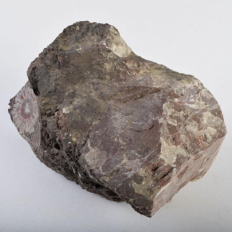 天然石　鑑賞石　菊花石　置物　重さ約3050g　N　8915