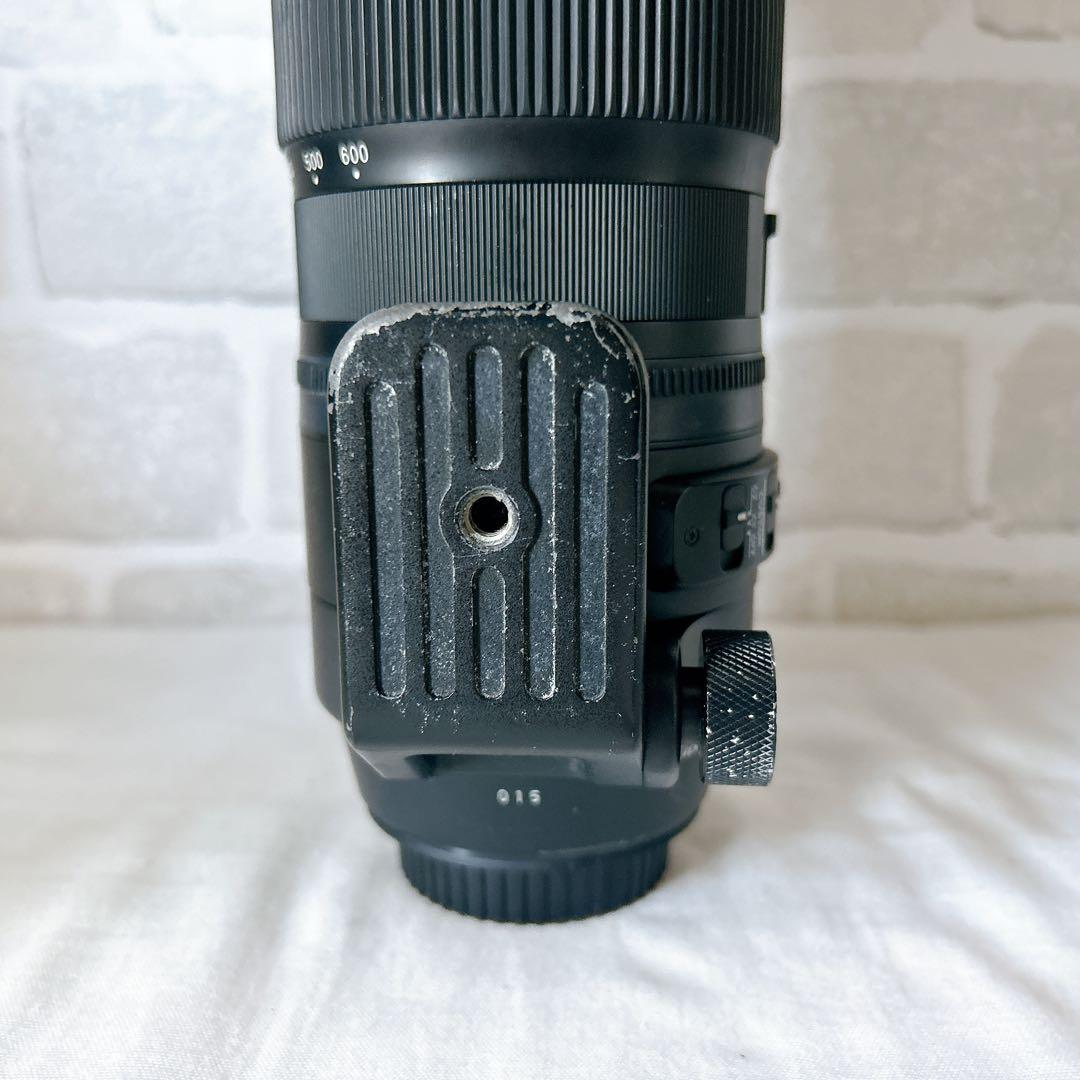 komrkko ✨SIGMA 150-600mm F5-6.3 DG✨