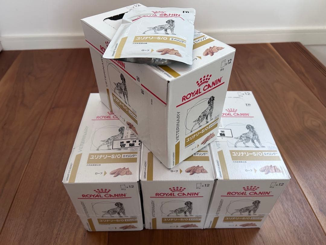  CANIN ユニナリー-S/O エイジング 4箱(47袋)