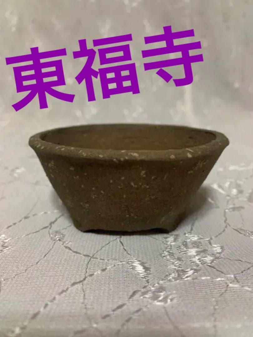 盆栽鉢　東福寺