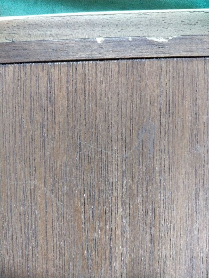 日本画「貝殻図」村越由子 3号