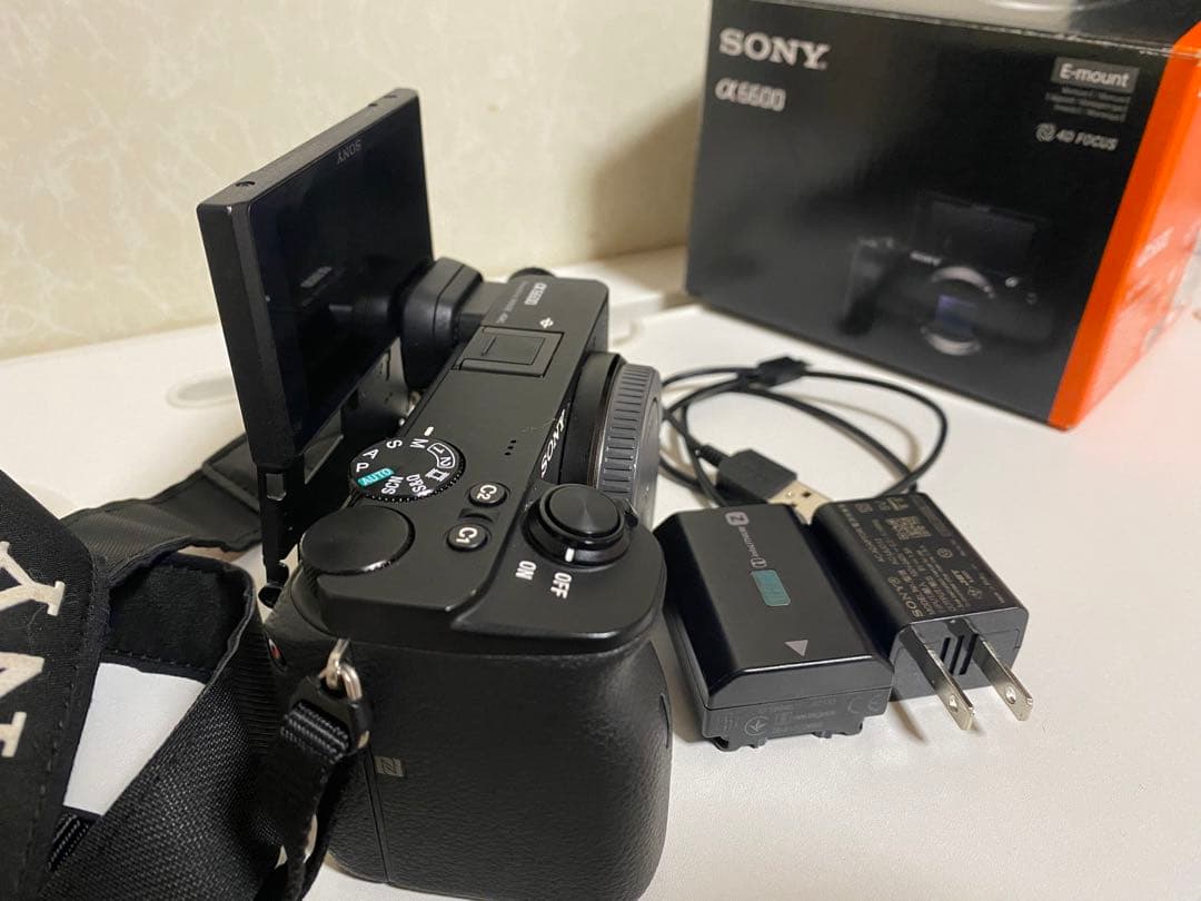 ビデオカメラ Sony a6600