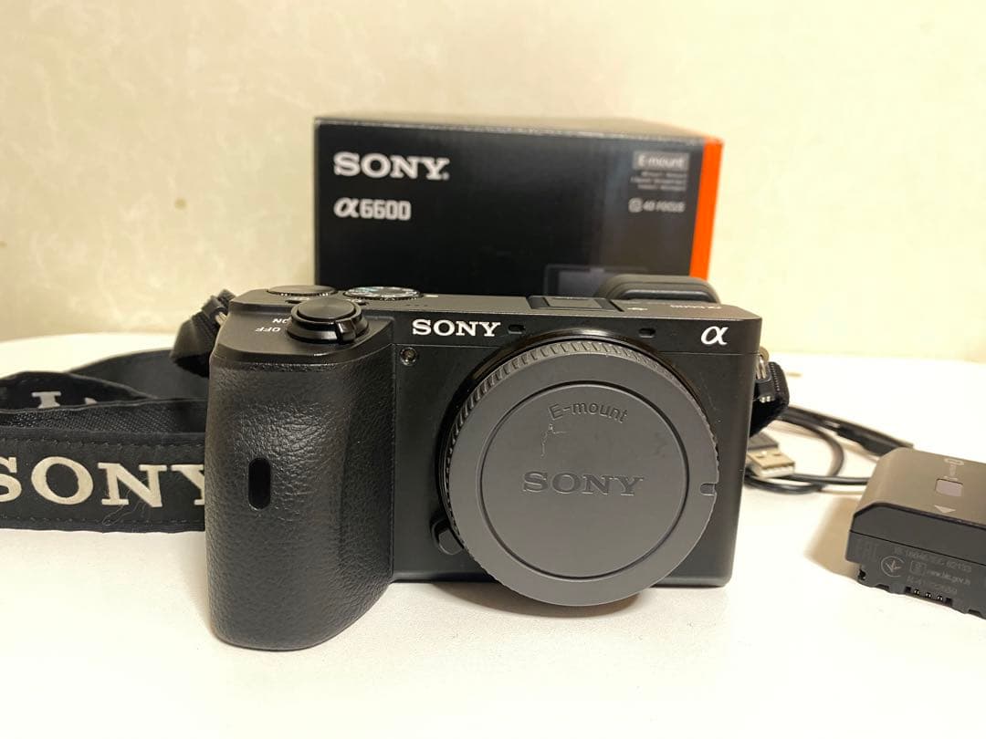 ビデオカメラ Sony a6600