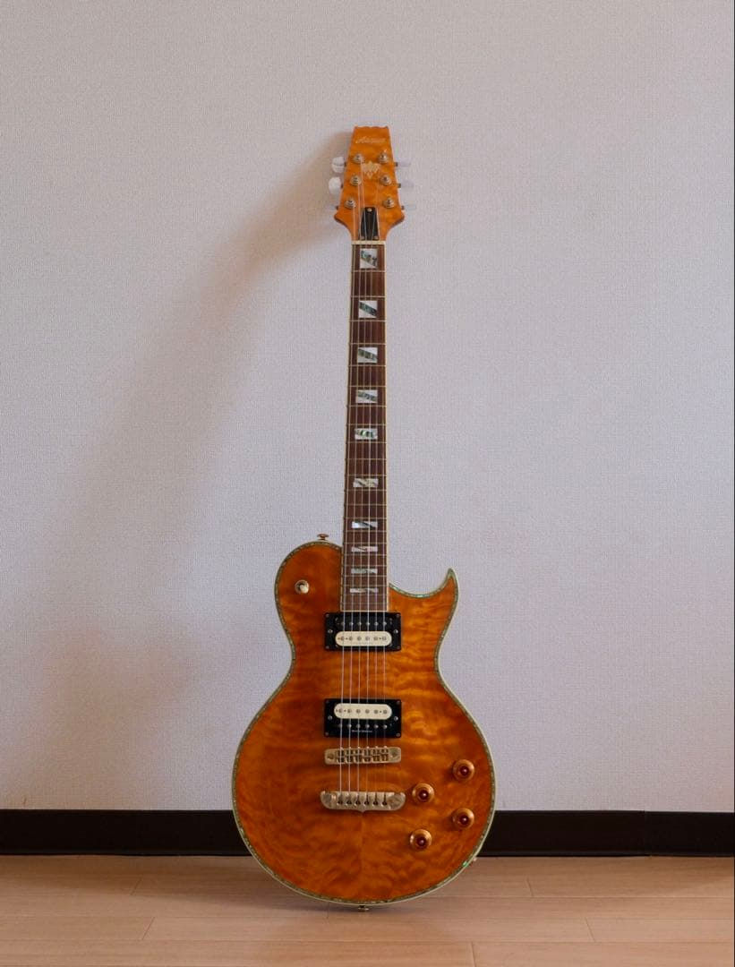 Aria Pro Ⅱ PE-Anniversary 限定モデル ハードケース付属