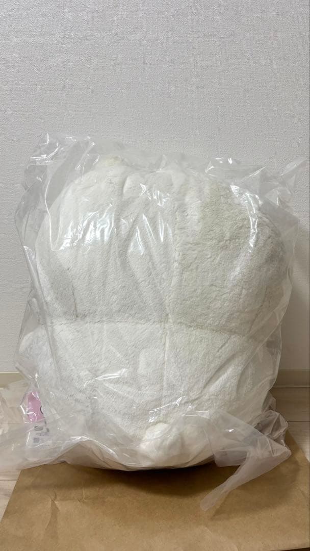 【あるかんたらまる】ナガノくじ　A賞