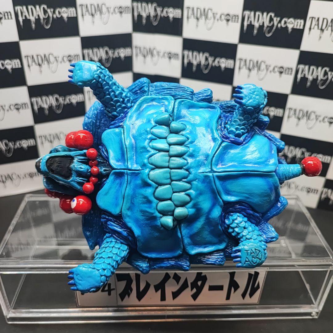 104ブレインタートル