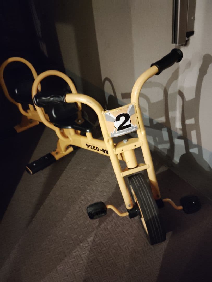 2人乗り三輪車　大阪府現地引き取り限定