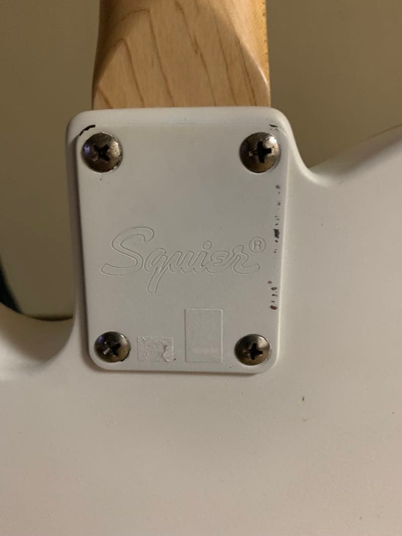 Squier Telecaster マルチカラー