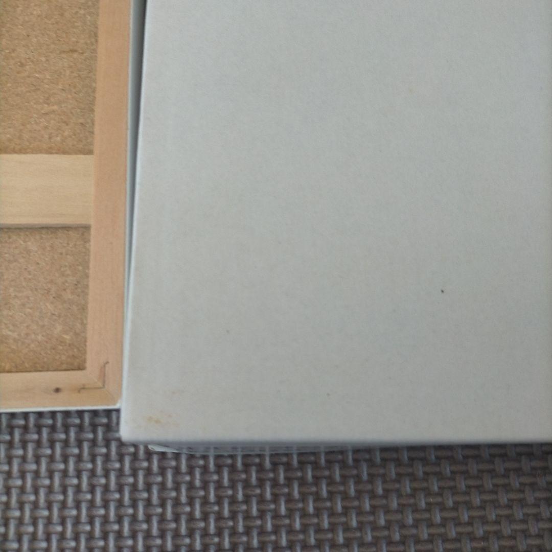 ☆小澤摩純 絵画 額縁入り 27×22