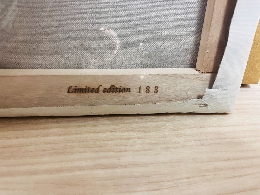 その他 EVA Canvas Art (Large)