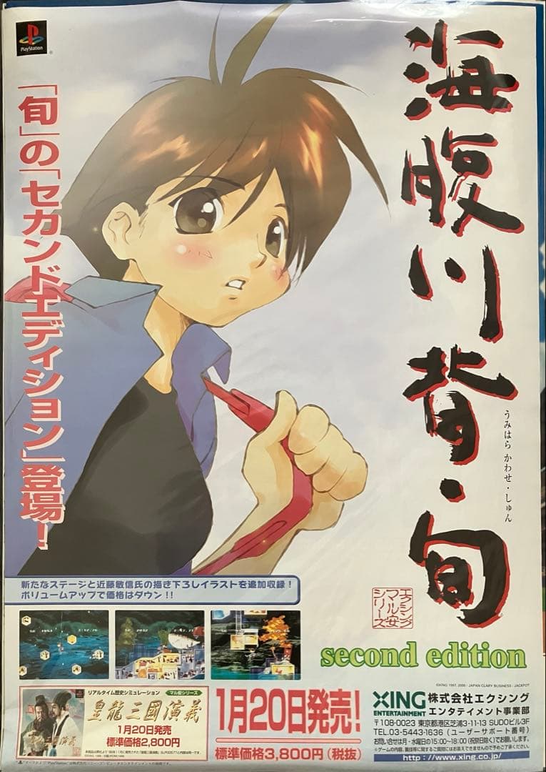 希少　店頭用　海腹川背 旬　販促ポスター