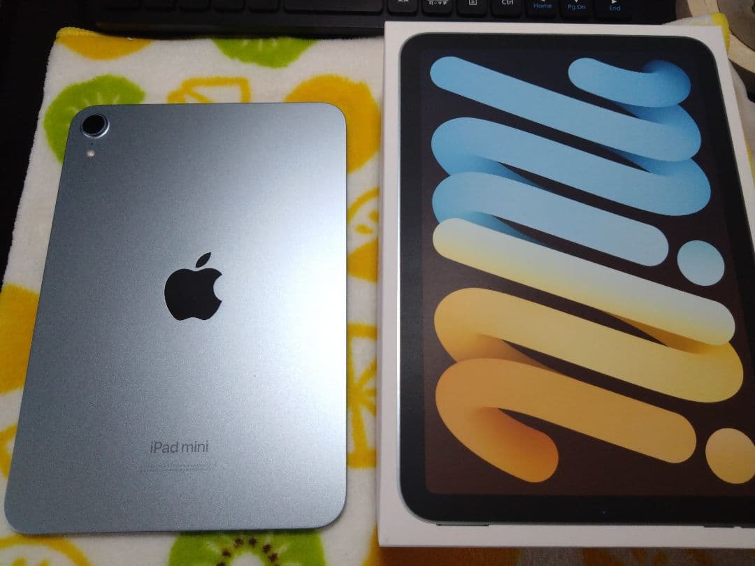 iPad mini（第7世代 A17 Pro）Wi-Fi 256GB ブルー