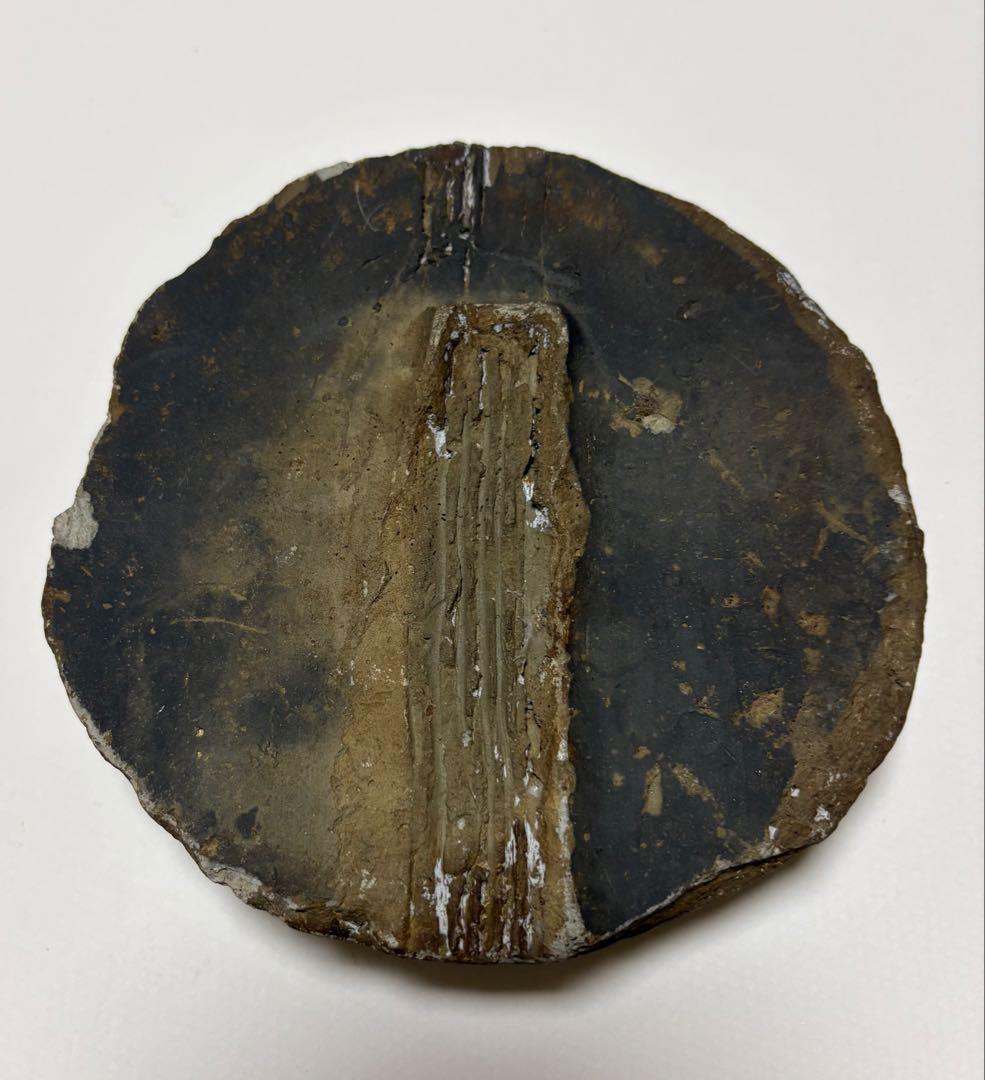 激レア！駿府城　徳川家三つ葉葵の丸瓦　江戸時代　 鑑定済み