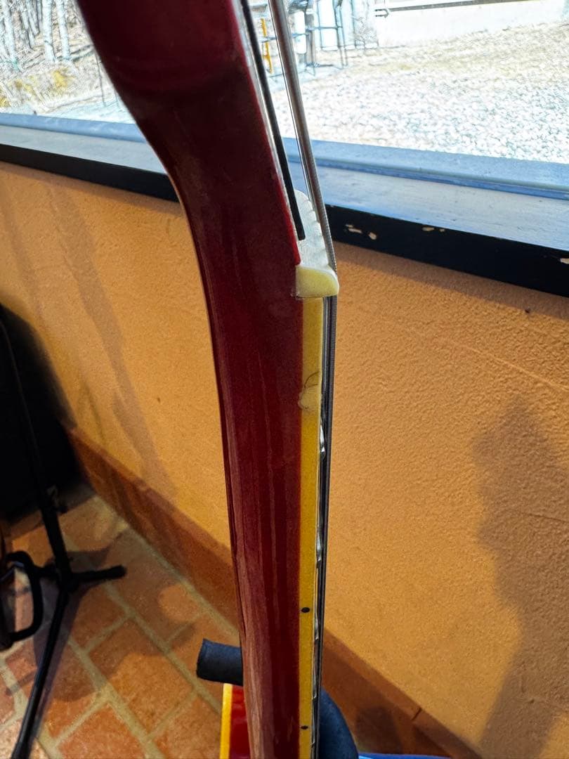 Landscape セミアコースティックギター