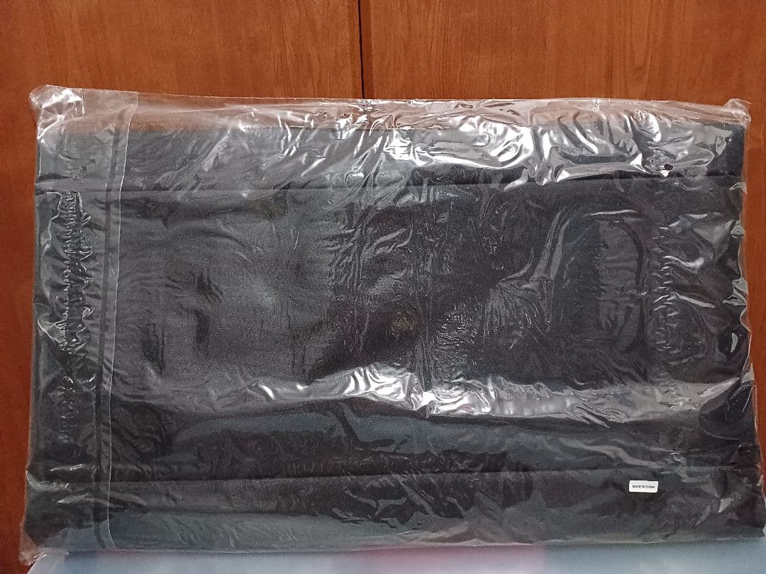 ポルノグラフィティ　ライダース収納バッグ