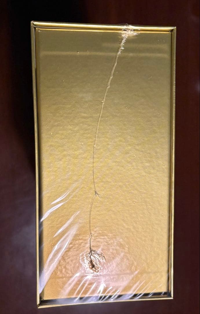 新品未開封シュリンク付き】ポケモンカードゲーム 25周年記念 ゴールデンボックス