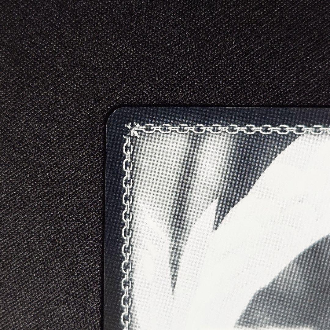 想いを束ねて マリア SSP