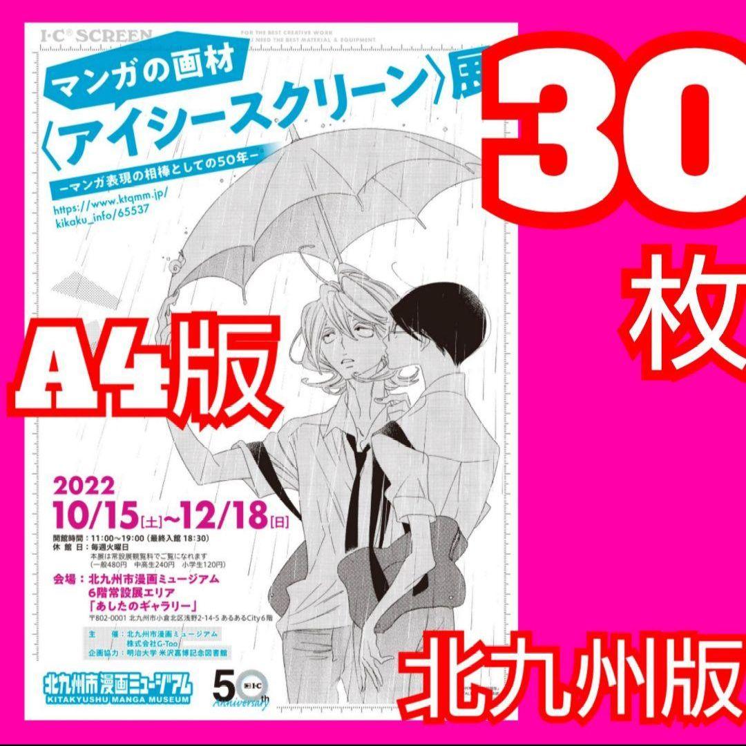 ３０ アイシースクリーン展 北九州版 フライヤー