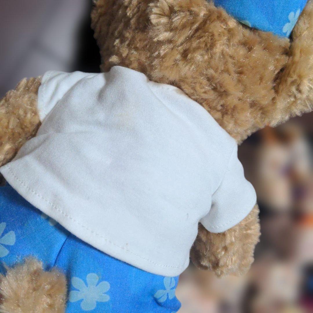 ダッフィー　シェリーメイ　ぬいぐるみ　まとめ売り　10周年　ぬいば