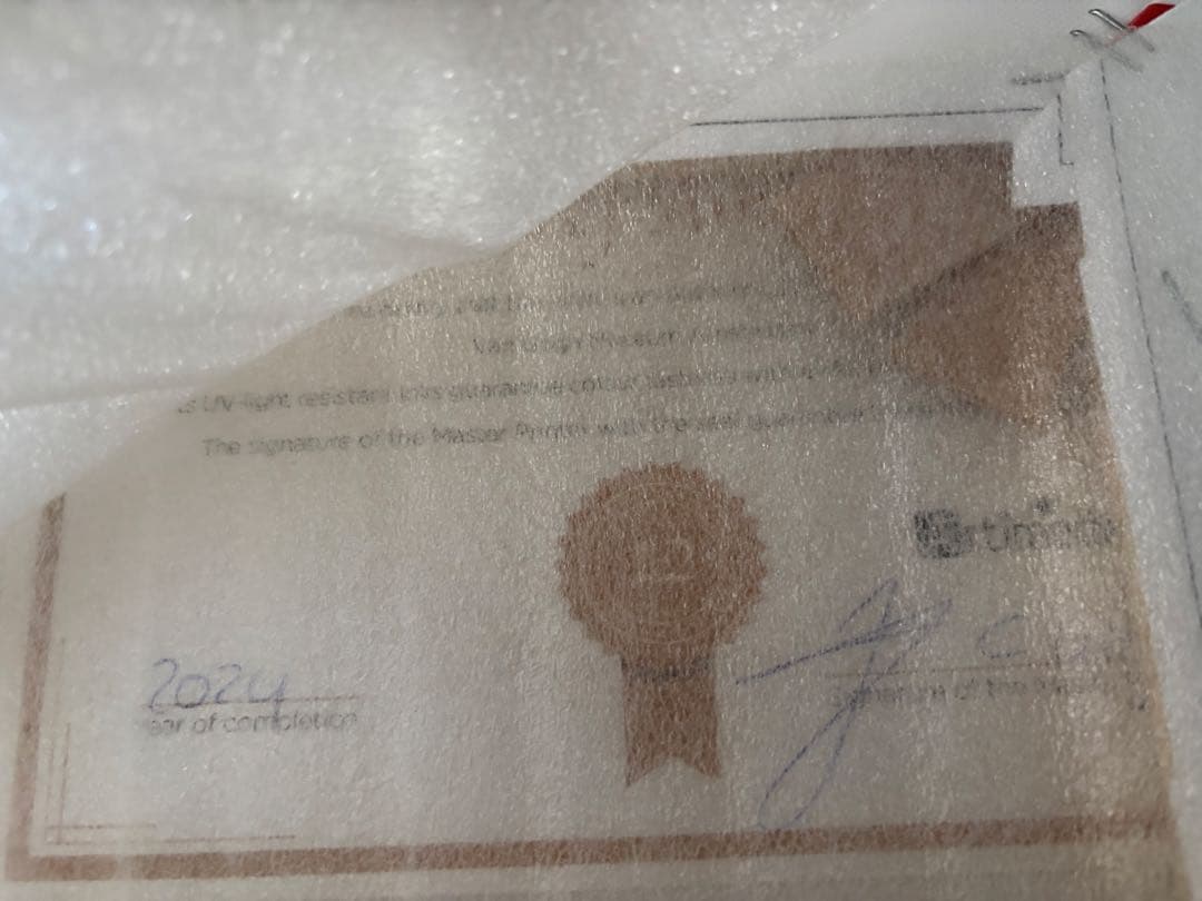 ゴッホピカチュウ　キャンバスアート　金枠　Mサイズ