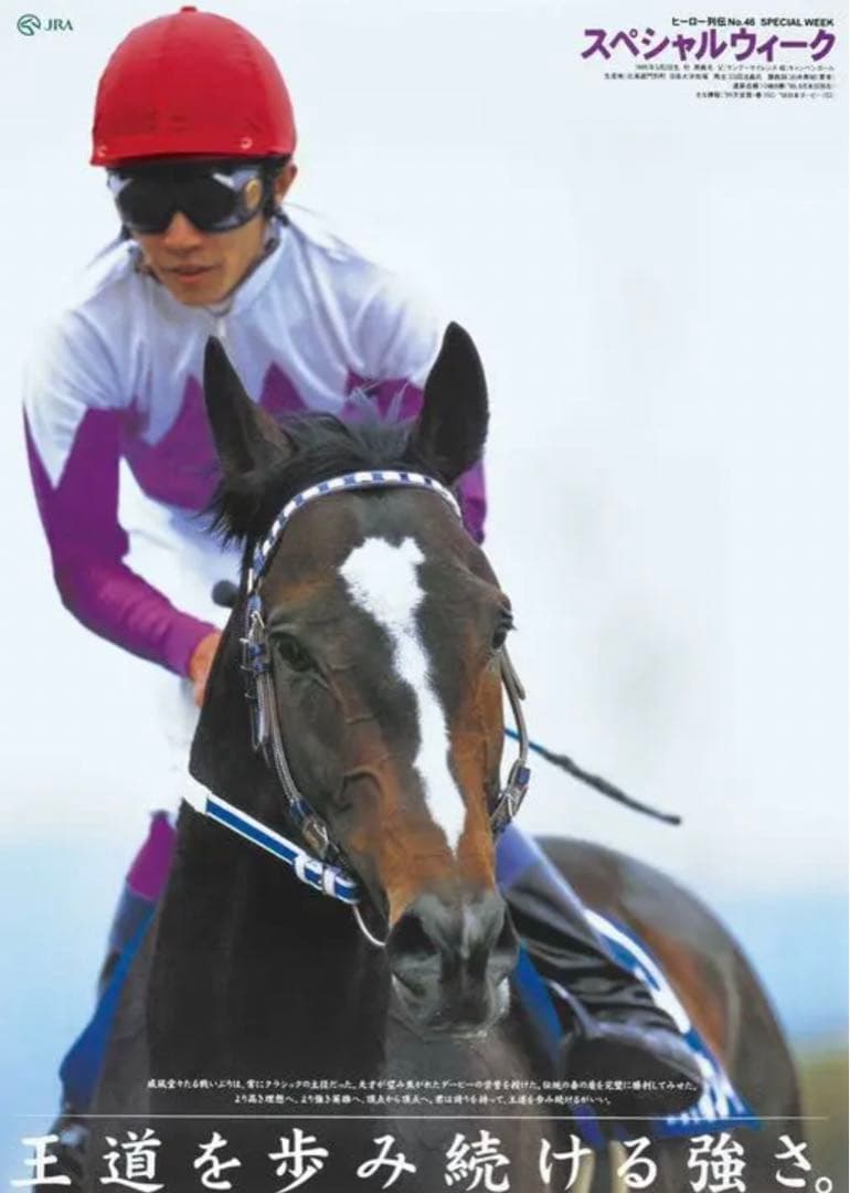 スペシャルウィーク ヒーロー列伝 ポスター B1 競馬 ウマ娘