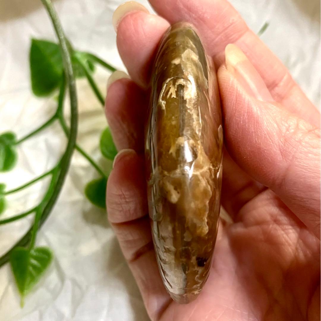 天然石 アンモライト アンモナイト 73g 6.5cmマダガスカル 鉱物標本