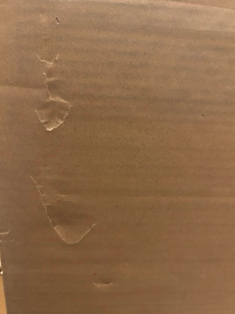 コミック・アニメ Z