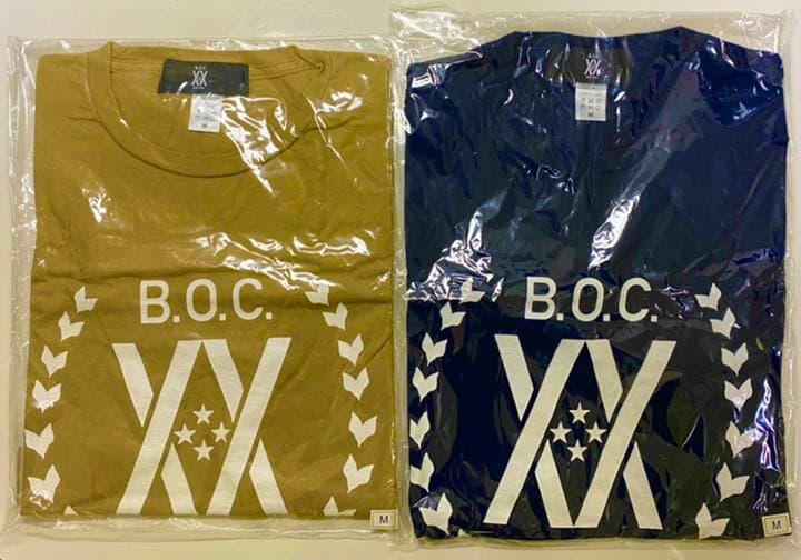 【新品・未開封】【バラ売り可】BUMP 20 グッズセット