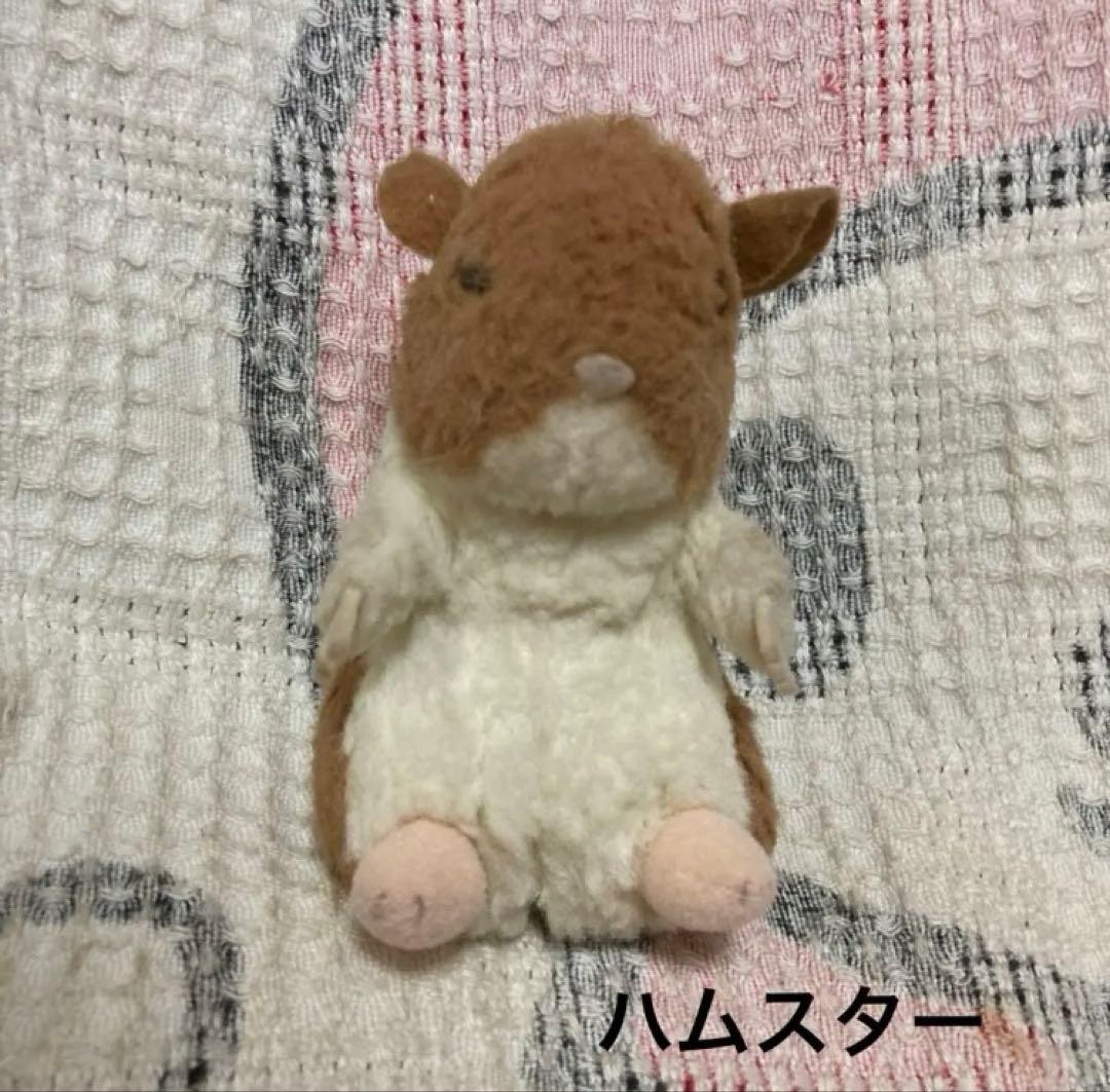 STAR CHILD スターチャイルド　ぬいぐるみ 12こセット 中古品