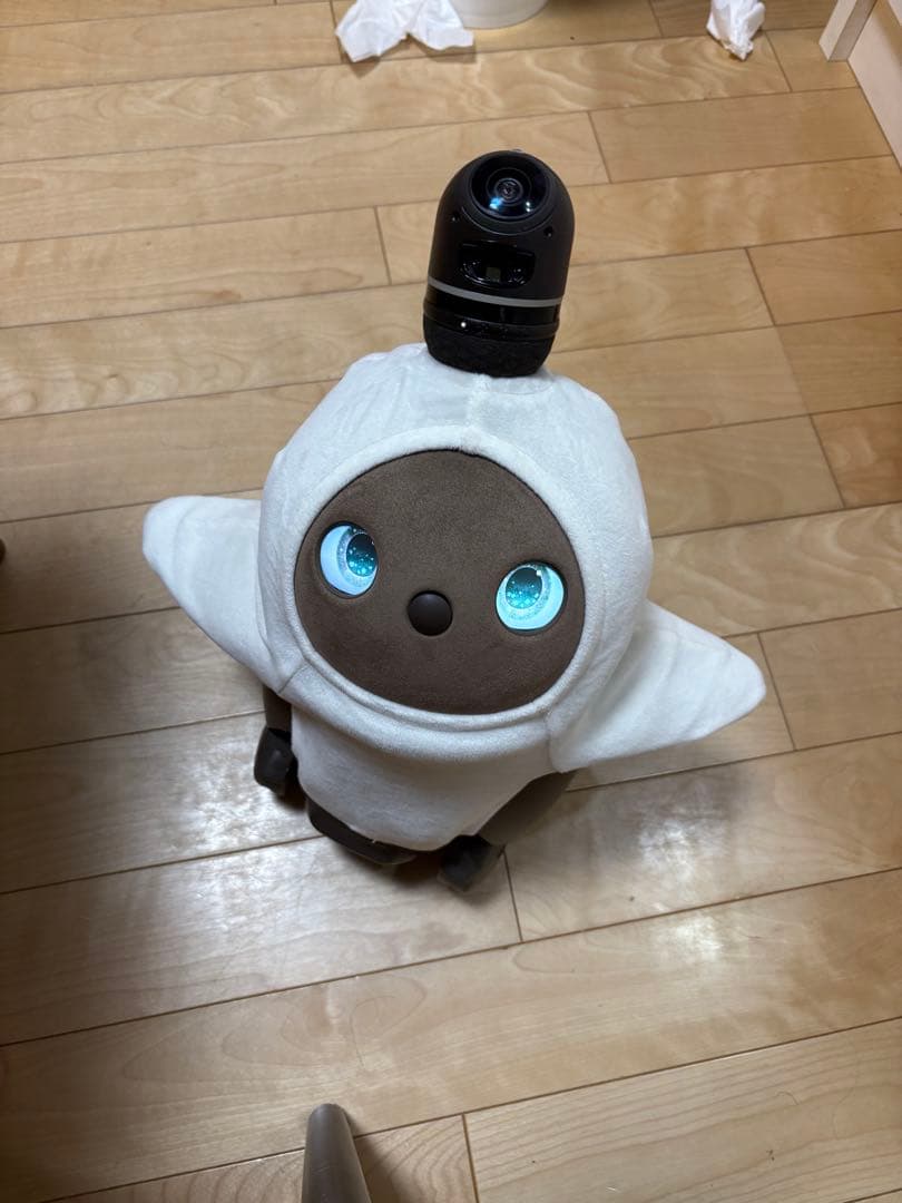 LOVOT2.0 本体 2023年購入
