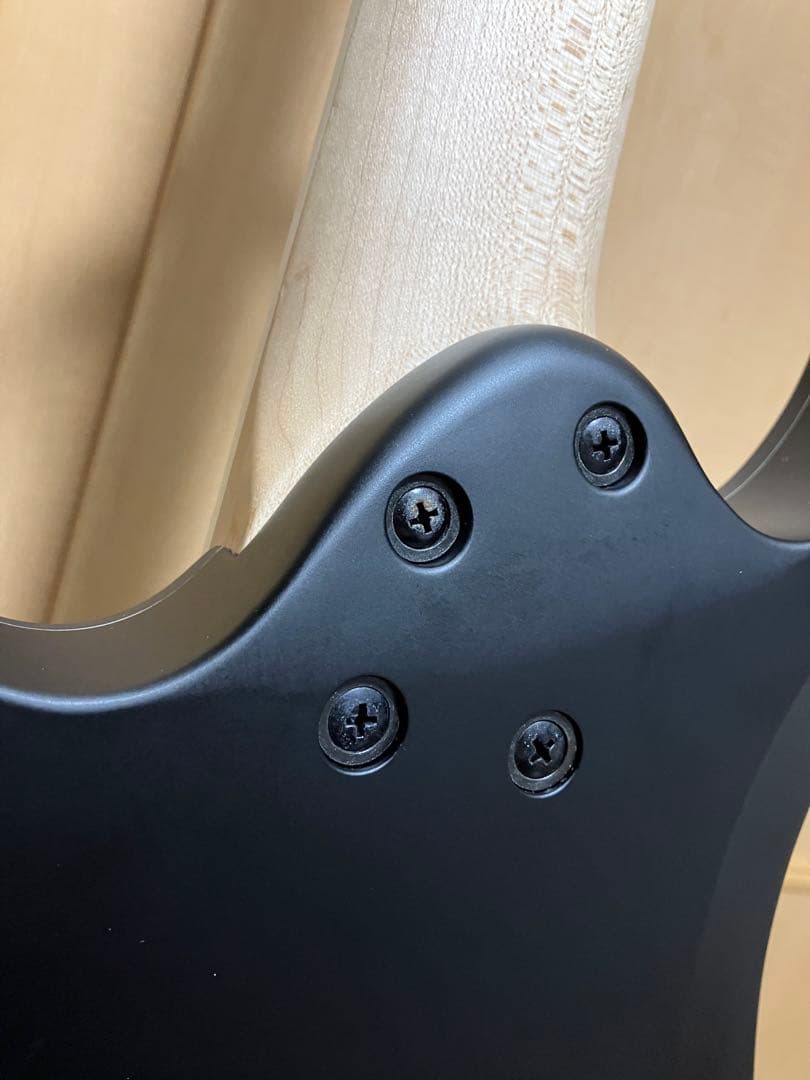 Ibanez 7弦ギター RG7320EX-BKF [SPOT MODEL］