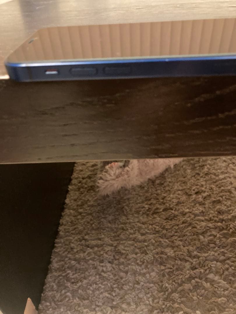 携帯電話本体 iPhone 12 mini 64GB