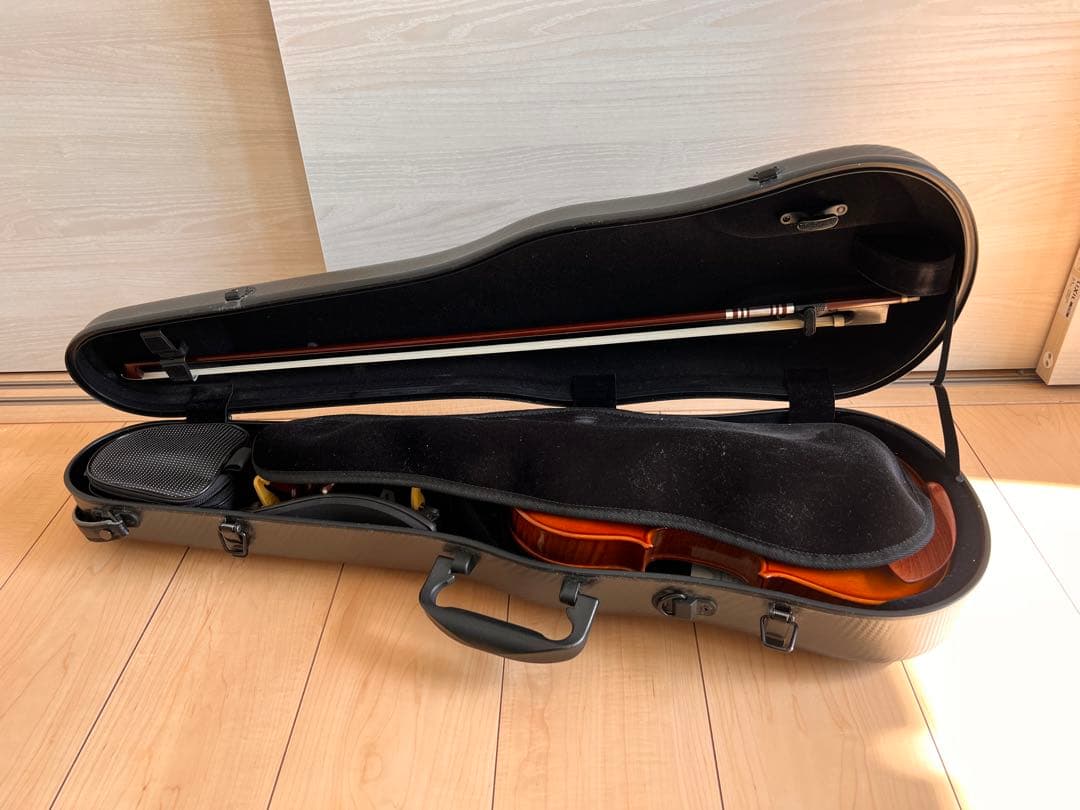 Pyroviolin 4/4バイオリン本体Gewaケース付き