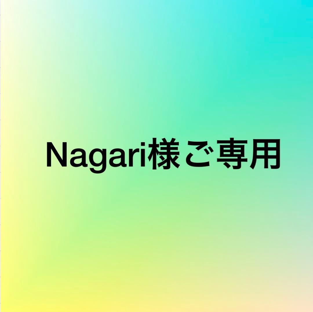 Nagariオーダー品