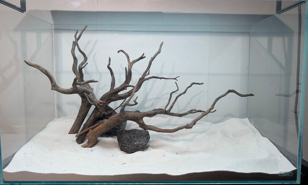 レイアウトセット【LBB009】 ブラックスマトラブランチウッド まとめ買い対応