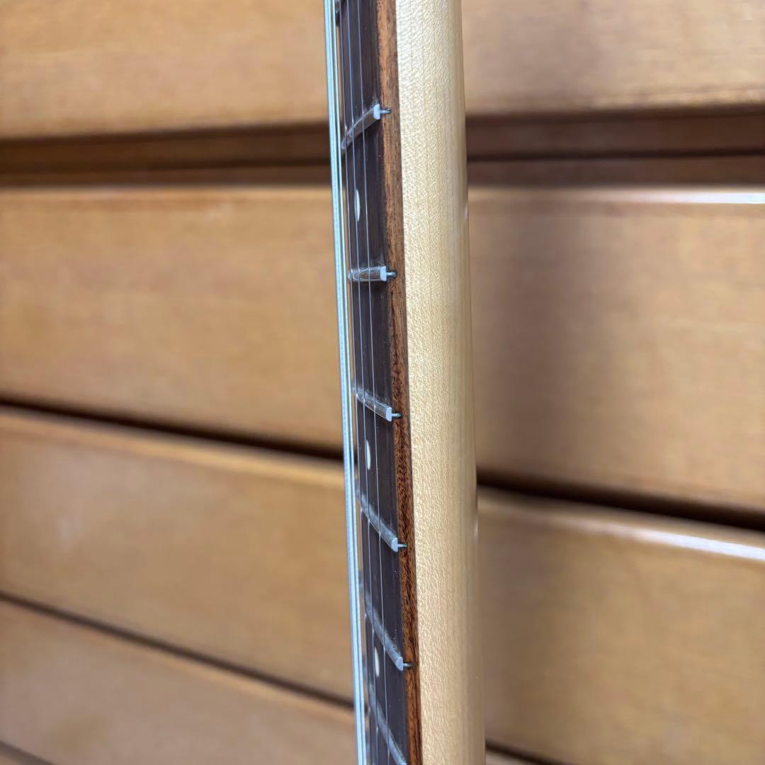 Fender Mexico ムスタング P90