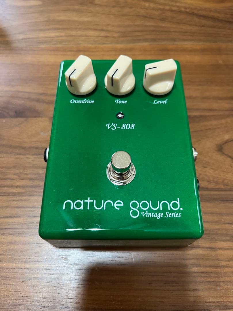 ギター nature sound VS-808