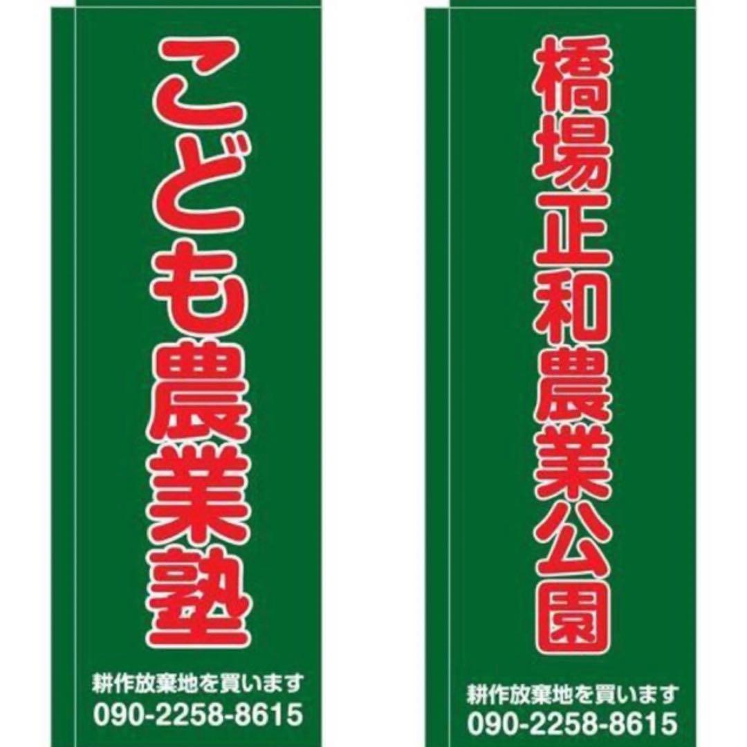 こころの風景コレクション【立川広己　心の山（黎明富士）】60％お値引き！！