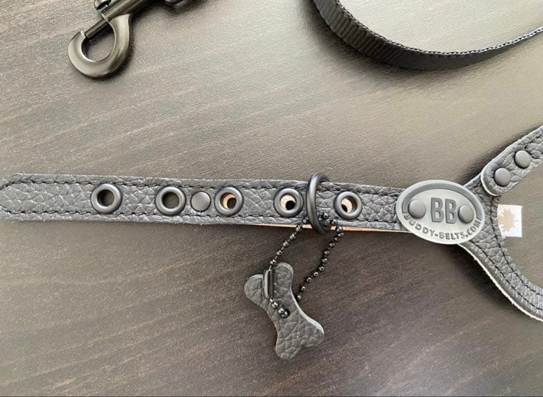 バディーベルト ハーネス 2.5号 ナイロンリード　バディベルト