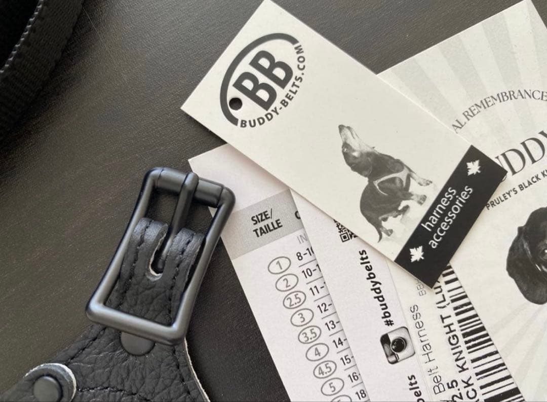 バディーベルト ハーネス 2.5号 ナイロンリード　バディベルト