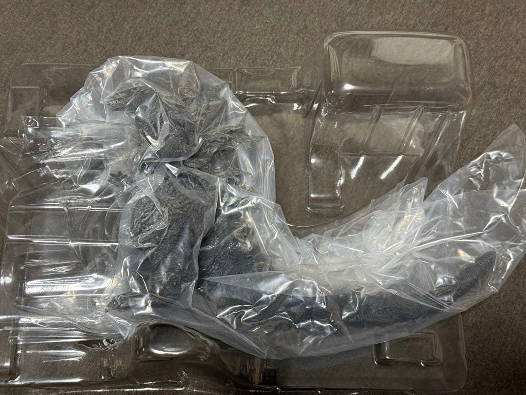 【GODZILLA】 S.H.MonsterArts ゴジラ [2023]