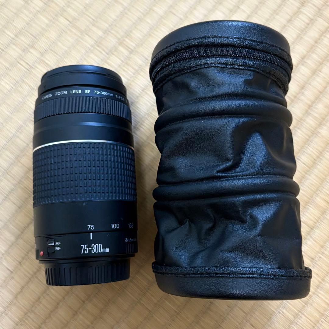 Canon EF 75-300mm f/4-5.6 III ズームレンズ