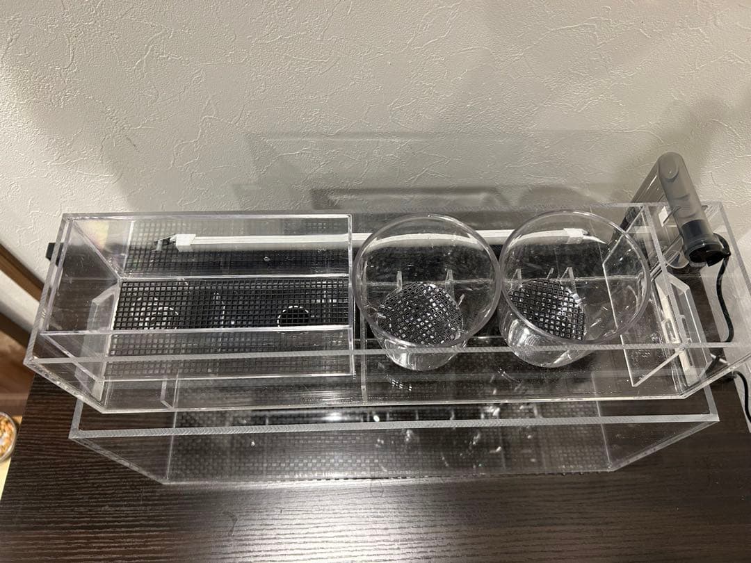 上部濾過式アクア水槽　アクアリウムにも最適！