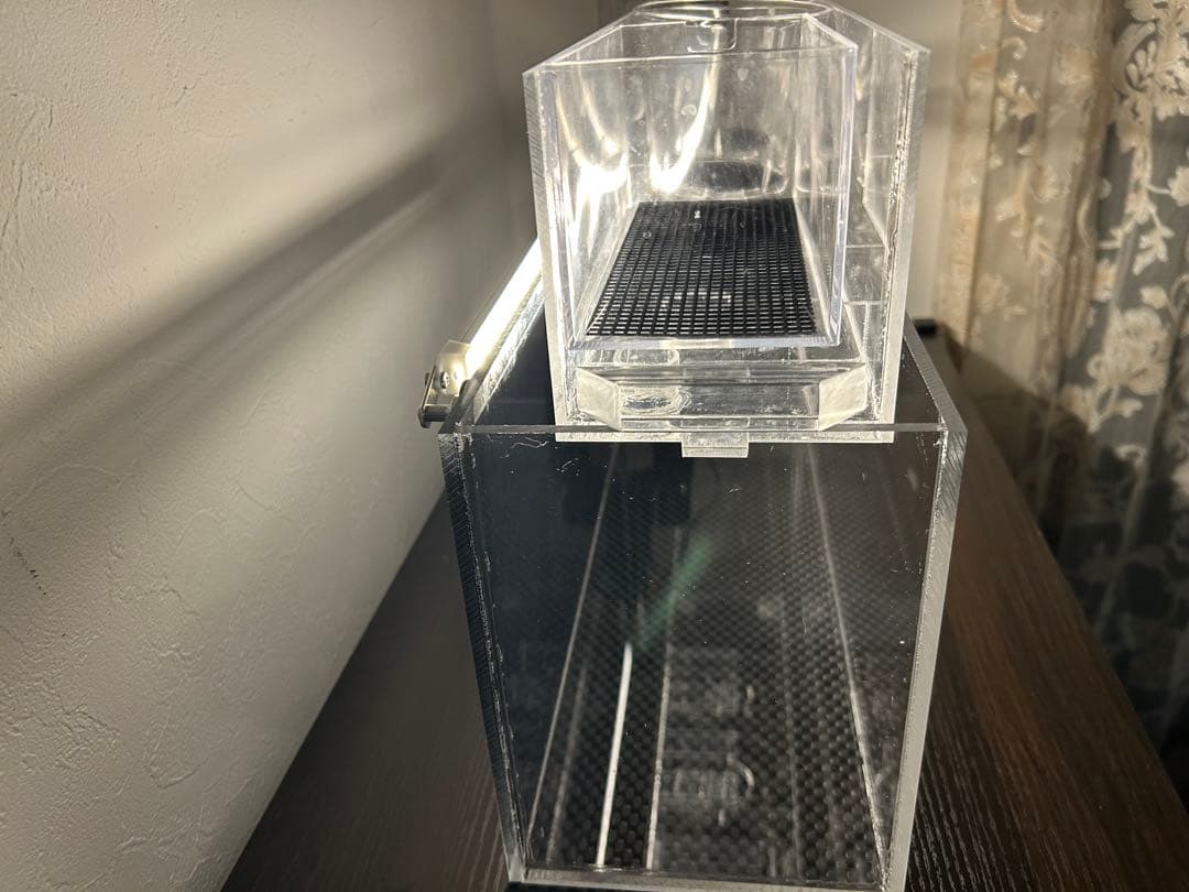 上部濾過式アクア水槽　アクアリウムにも最適！