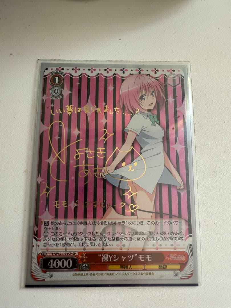 裸Yシャツ　モモ　SP