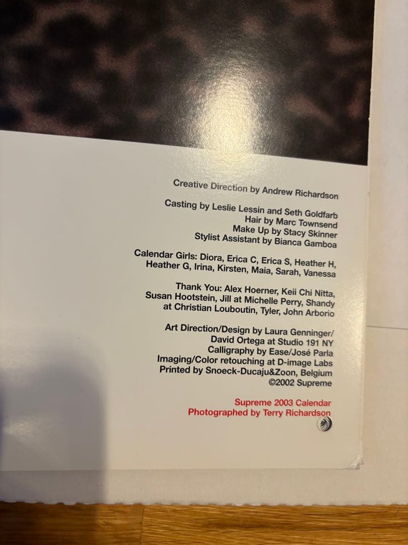 Supreme Terry Richardson 2003 カレンダー