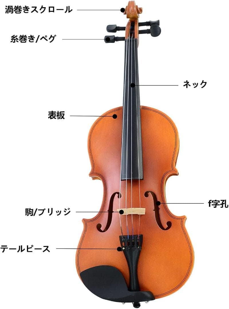 [S142-86]　BQKOZFIN バイオリン 4/4 初心者用バイオリン