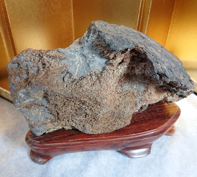 菊花石 岐阜県根尾谷産 川ずれ3.2キロ 鑑賞石 観賞石 自然石 天然石 置物