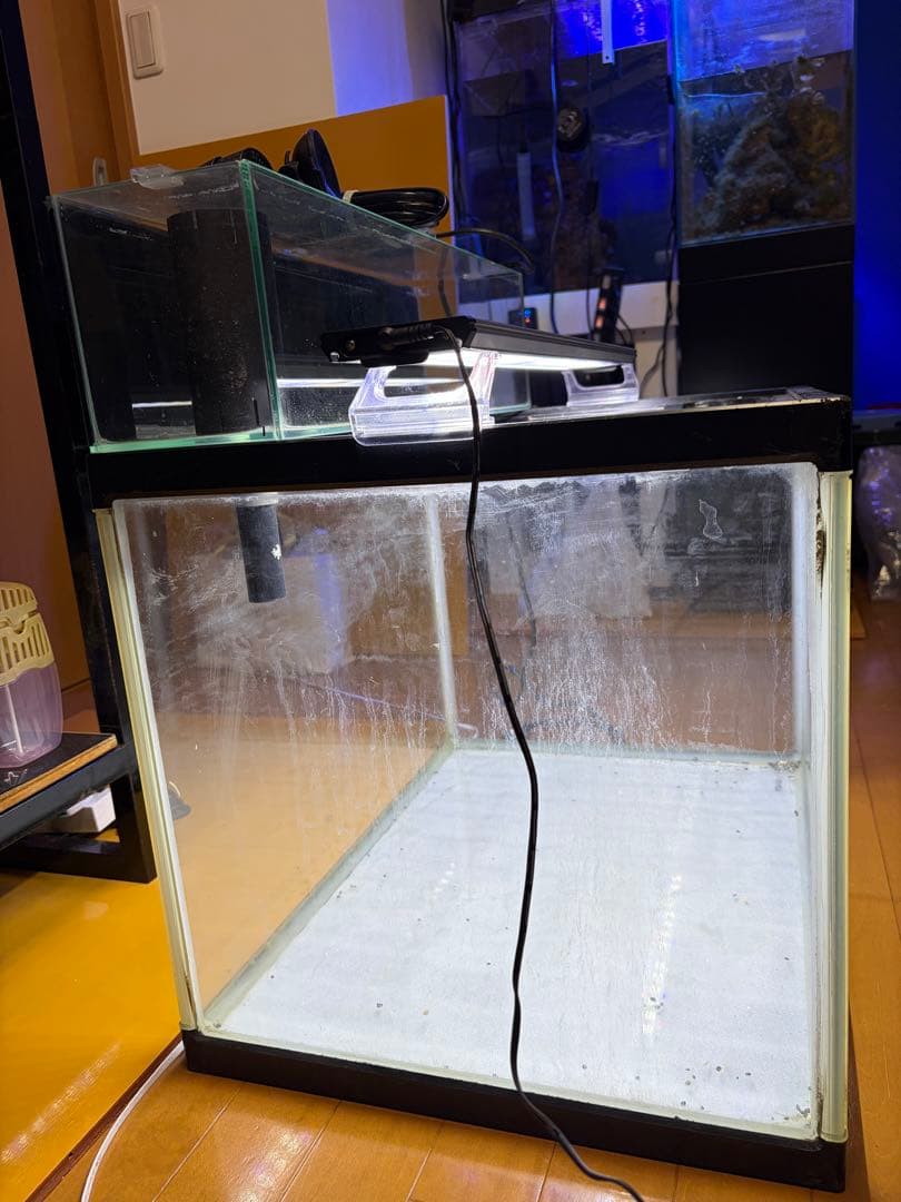 直接引き取り6045ガラス水槽 リフジウム水槽 その他おまけ付き