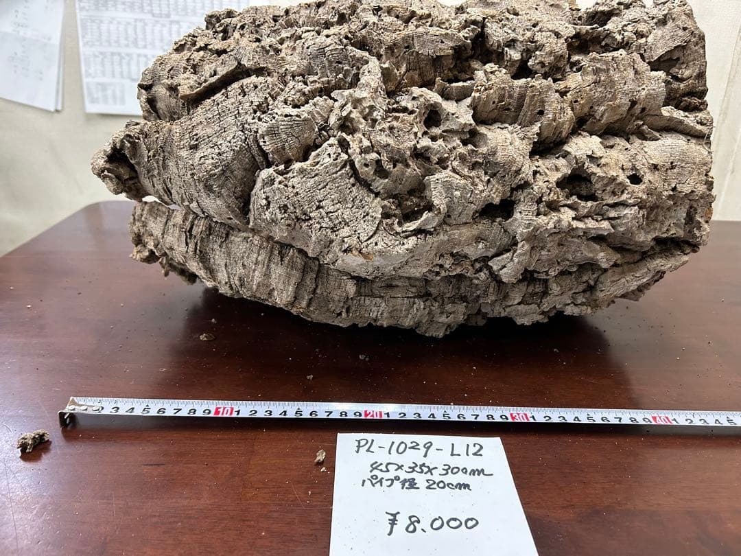 ポルトガル産コルク樹皮ＰＬ-1029-Ｌ12